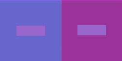 Two blue and purple rectangles side by side with the same color rectangle in the center of each. The Inner rectangle looks like different colors, despite being the same.