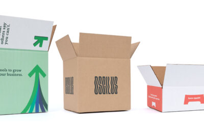 White and kraft shipping boxes