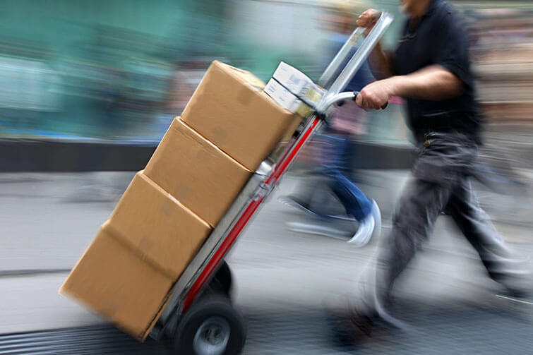 Fast Shipping Fast Shipping