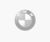 BMW BMW Logo